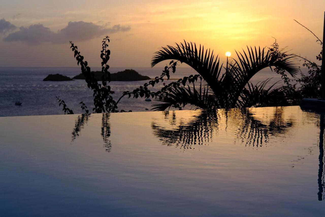 Sunset Palm - Villa Creole Avec Piscine Face Au Coucher De Soleil Et A La Reserve Cousteau Bouillante Dış mekan fotoğraf