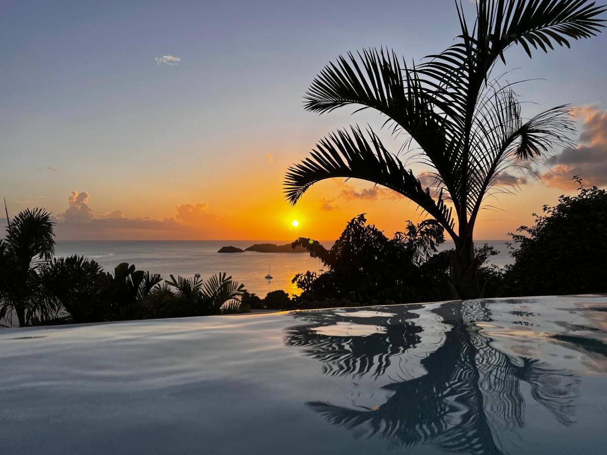 Sunset Palm - Villa Creole Avec Piscine Face Au Coucher De Soleil Et A La Reserve Cousteau Bouillante Dış mekan fotoğraf